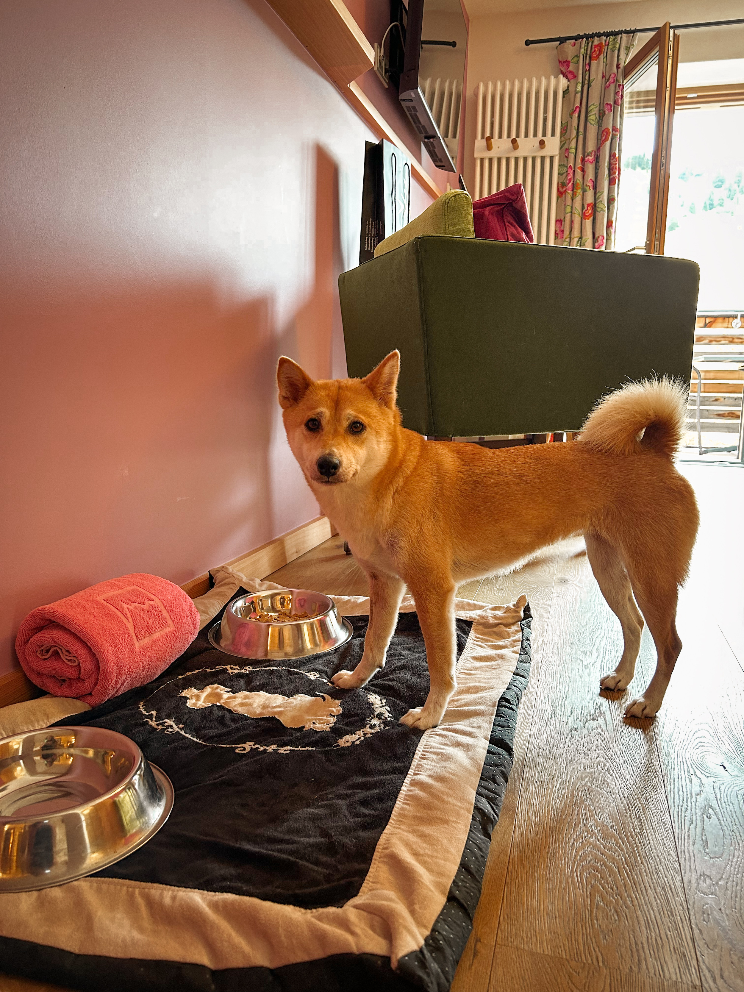 Wanderhotel: Hunde willkommen - Hotel Goldener Berg - Your Mountain Selfcare Resort