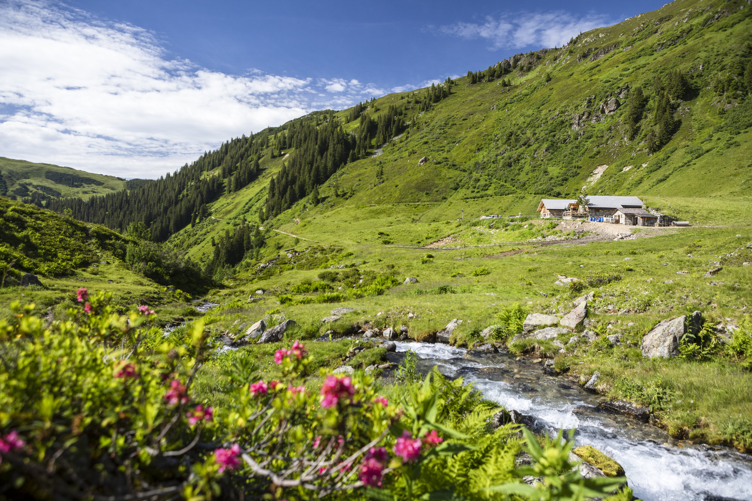Panoramagasthof Kristberg Almen Wasserstubenalpe