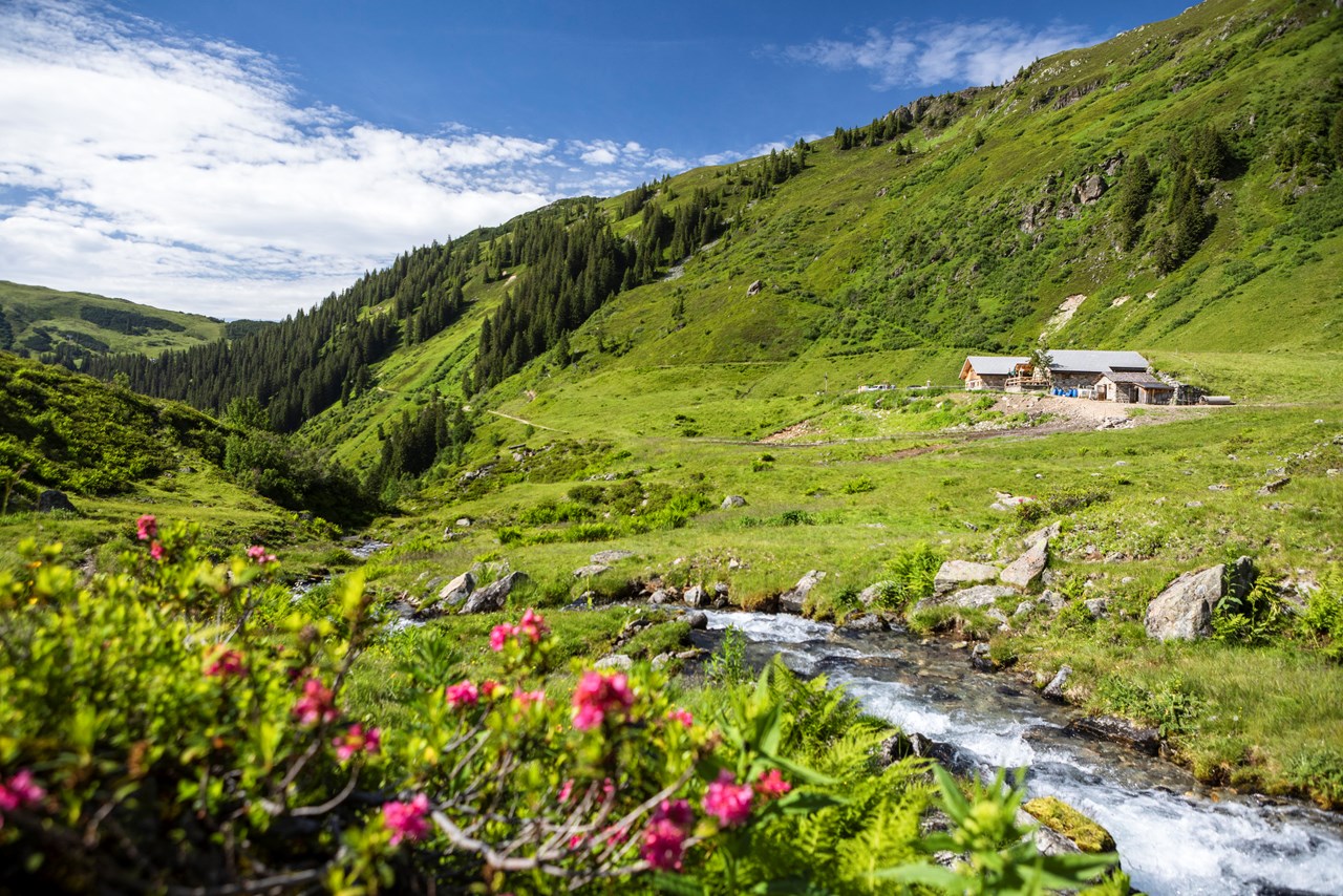 Panoramagasthof Kristberg Almen Wasserstubenalpe