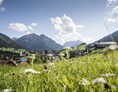 Wanderhotel: Alpengasthof Hörnlepass