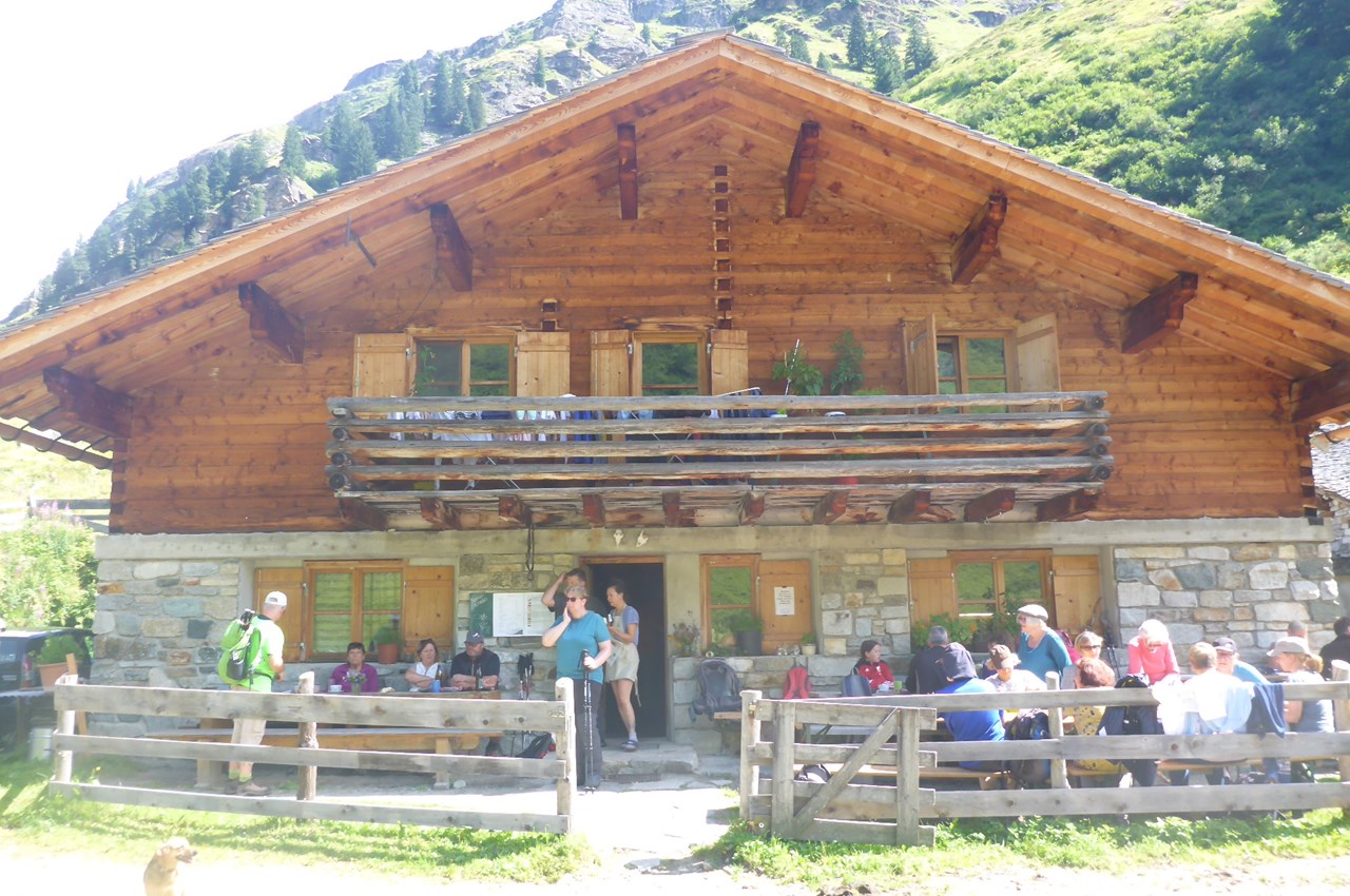Felbermayer Hotel & Alpin Spa Montafon Almen Alpwanderung zur Alpe Garnera