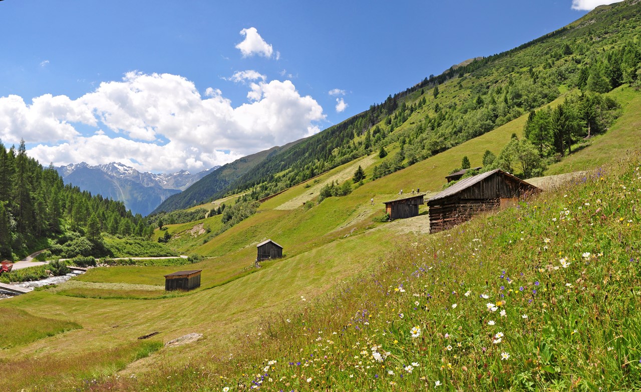 Hotel Tauferberg Almen Alm- und Hüttenwanderung Horlachtal