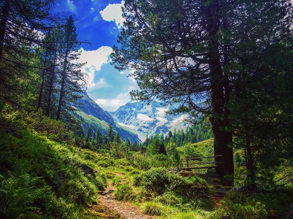 Hotel Pramstraller Tourentipps Bergwanderung Häusling - Bodenalm