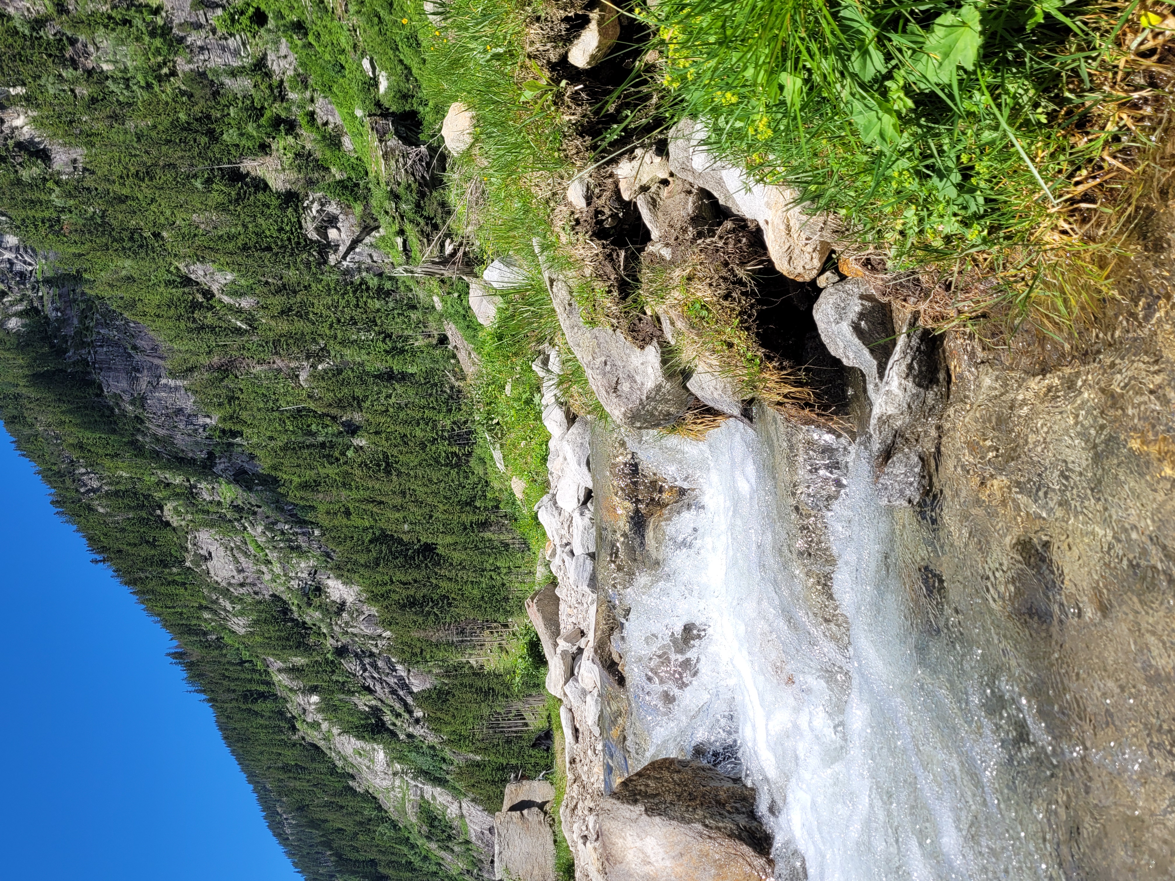 Wanderhotel: Hotel Eckartauerhof ***