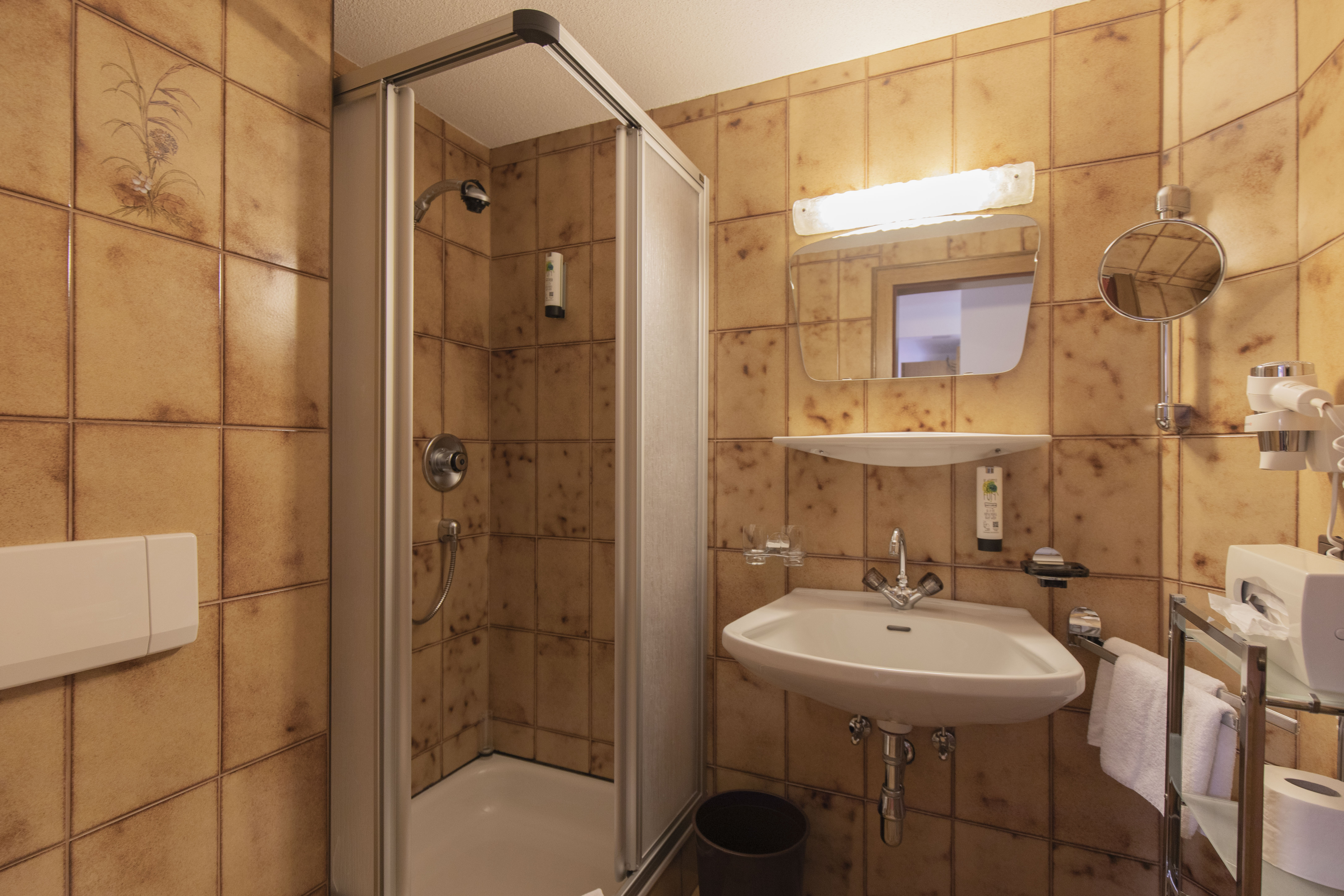 Wanderhotel: Apartment Dreiländerspitze - Berghotel Rasis