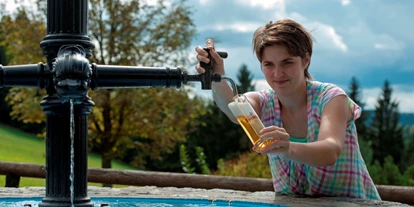 Wanderurlaub - Pools: Schwimmteich - Hotel Schwarz Alm Zwettl