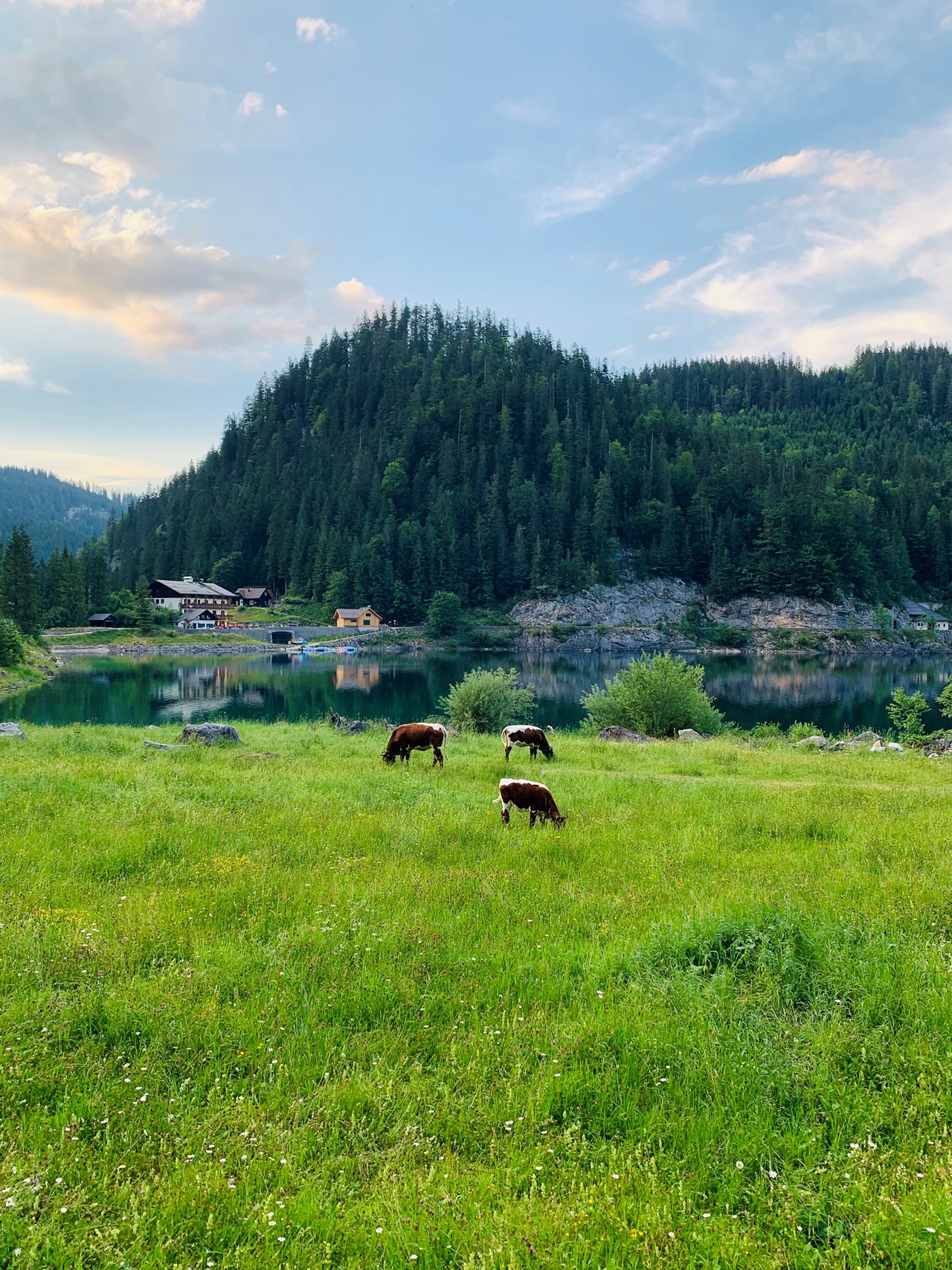 COOEE Alpin Hotel Dachstein Tourentipps Gosau - Panoramaweg