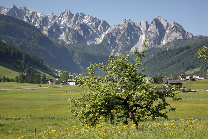 COOEE Alpin Hotel Dachstein Tourentipps Vom Vorderen Gosausee auf die Zwieselalm