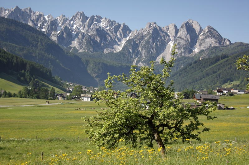 COOEE Alpin Hotel Dachstein Tourentipps Vom Vorderen Gosausee auf die Zwieselalm