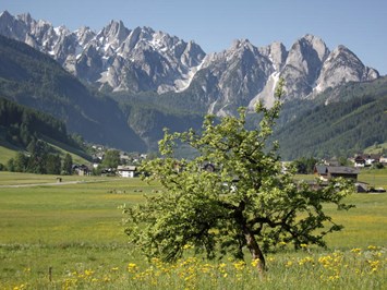 COOEE Alpin Hotel Dachstein Tourentipps Vom Vorderen Gosausee auf die Zwieselalm